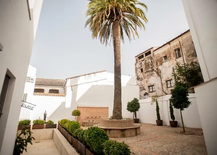 Apartamento Cg Casa - Palacio Muñoz Chaves Siglo Xviii Caces